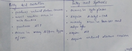 Fatty Acid Onidation produces recluced electron carriers mold reaction occur in mitochondria produces ATP occus in many diffe