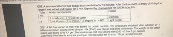 Q5B. A sample of albumin was treated as shown below for 10 minutes. After the treatment, 5 drops of Ninhydrin reagent was add