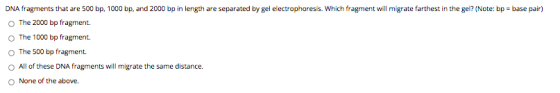 DNA fragments that are 500 bp, 1000 bp, and 2000 bp in length are separated by gel electrophoresis. Which fragment will migra