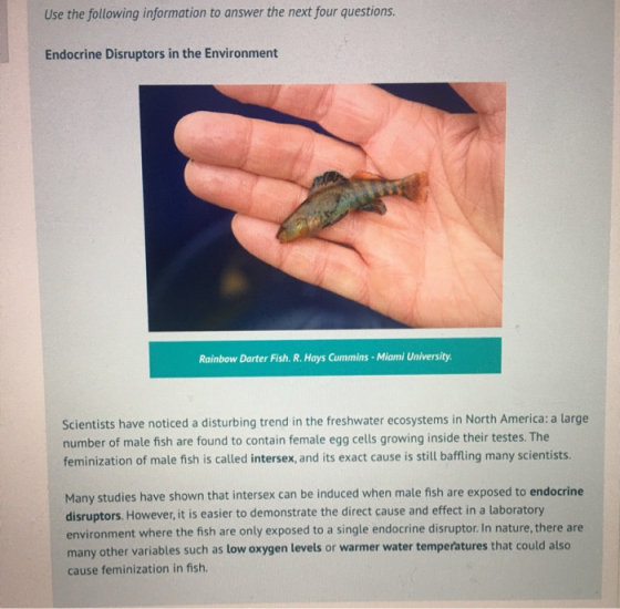 Use the following information to answer the next four questions. Endocrine Disruptors in the Environment Rainbow Darter Fish.