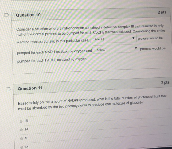 2 pts D Question 10 Consider a situation where a mitochondrion contained a defective complex III that resulted in only half o