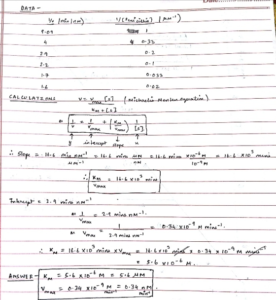 D a ll........ . . DATA- /Penicillin lum-) / ( min Inm) 9.09 50-33 0.2 2.2 1.7 0.033 1.6 0.02 CALCULATIONS V = [s] l-michaeli