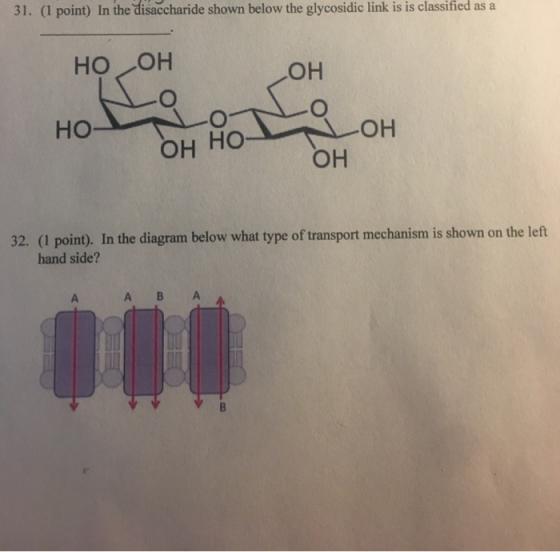 31. (1 point) In the disaccharide shown below the glycosidic link is is classified as a НО ОН ОН Ro НО- Он Но ОН ОН 32. (1 po
