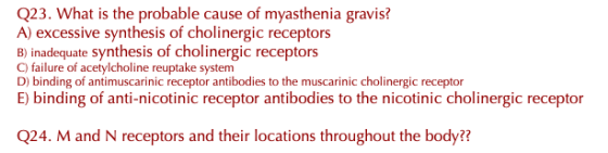 Q23. What is the probable cause of myasthenia gravis? A) excessive synthesis of cholinergic receptors B) inadequate synthesis