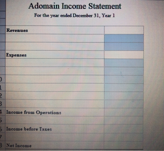 Adomain Income Statement For the year ended December 31, Year 1 Revenues ............................................... Lupe