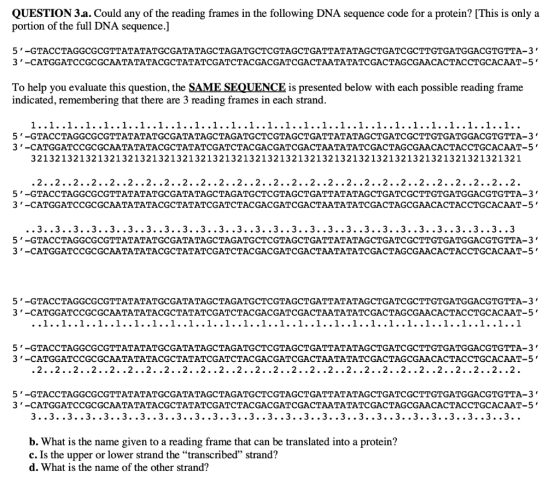 QUESTION 3.a. Could any of the reading frames in the following DNA sequence code for a protein? [This is only a portion of th