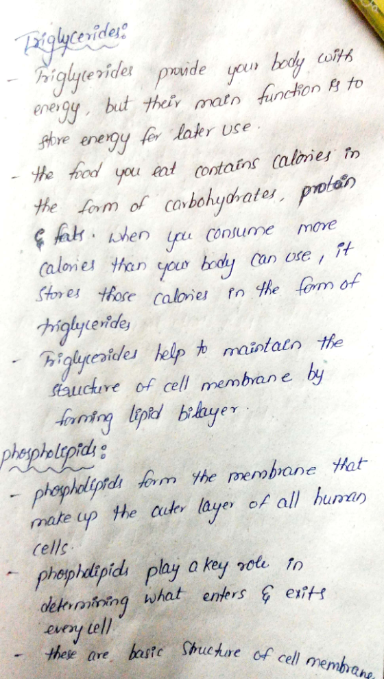 ay you holy nde enejy ut thei matn funchon to give energy fer later use He hed you ent contains Calones CO en r Contume move fauctireof cell membrane ty phespholtpidl make up the ader laye) of all hunan cells olekinfrrng what enters & exit- gury iel he ne baste Shuc cell membeng