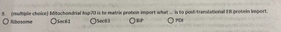 is to post-translational ER protein import. O PDI (multiple choice) Mitochondrial hsp 70 is to matrix protein import what Rib