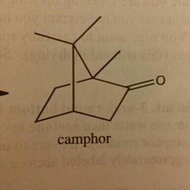 How do you know which hydrogen on Camphor belongs