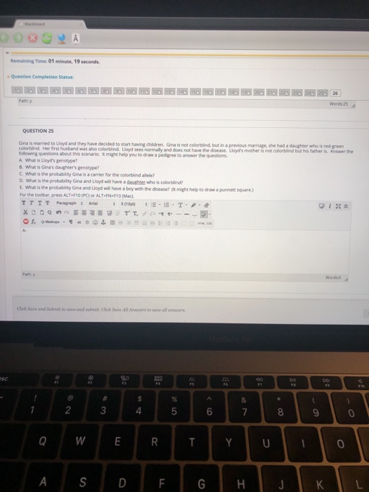 - A Remaining Time: 01 minute 19 seconds Question Completion Status QUESTION 25 where Grained to Loyd and they have decided t