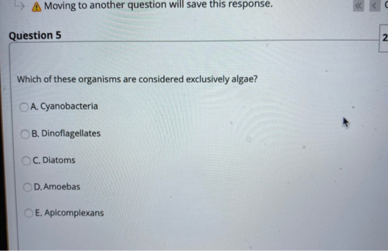 » A Moving to another question will save this response. Question 5 Which of these organisms are considered exclusively algae?
