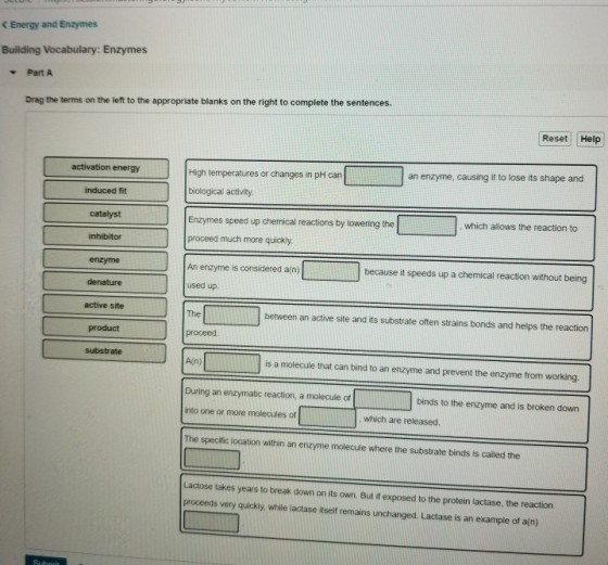 < Energy and Enzymes Building Vocabulary: Enzymes Part A Drag the terms on the left to the appropriate blanks on the right to complete the sentences. Reset Help an enzyme, causing it to lose its shape and High temperatures or changes in pH can biological activity Enzymes speed up chemical reactions by lowering the proceed much more quickly An enzyme is considered a(n) used up activation energy induced fit catalyst which allows the reaction to inhibitor enzyme denature active site product substrate because it speeds up a chemical reaction without being between an active site and its substrate often strains bonds and helps the reaction proceed is a molecule that can bind to an enzyme and prevent the enzyme from working. Ouring an enzymatic reaction, a molecule of binds to the enzyme and is broken down into one or more molecules of which are released The specific location within an enzyme molecule where the substrate binds is called the Lactose takes years to break down on its own. But if exposed to the protein lactase, the reaction proceeds very quickly, while lactase itself remains unchanged. Lactase is an example of a(n)