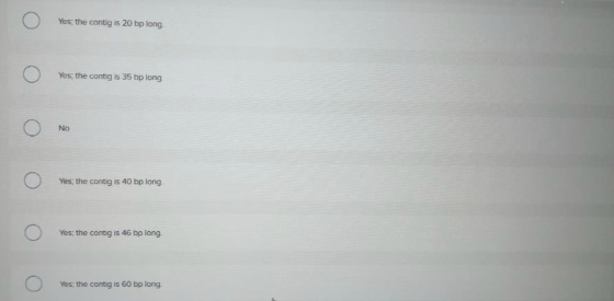 Ο Yes the contig is 20 bp long Ο Yes, the contig is 35 bp long Ο ΑΝΟ Ο Yes, the contig is 40 bp long Ο Yes: the contig is 46