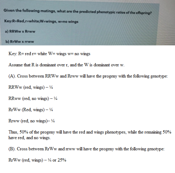 Given the following matings what are the predicted phenotypie ratios of the offspring? Key:R-Red.rawhite:W-wings, wano wings a) RRWw x Rrww b)RrWwx rrww Key: R red r- white W- wings w- no wings Assume that R is dominant over r, and the W is dominant over w. (A). Cross between RRWw and Rrww will have the progeny with the following genotype: RRWw (red, wings)- RRww (red, no wings)-4 RrWw (Red, wings)- Rrww (red, no wings) Thus, 50% of the progeny will have the red and wings phenotypes, while the remaining 50% have red, and no wings. (B). Cross between RrWw and rww will have the progeny with the following genotype: RrWw (red, wings)- or 25%