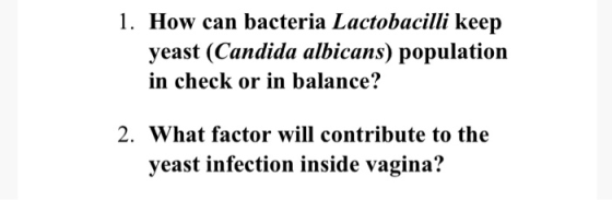 1. How can bacteria Lactobacilli keep yeast (Candida albicans) population in check or in balance? 2. What factor will contrib