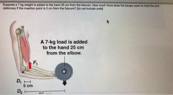Suppose a 7 kg weight is added to the hand 25 cm from the fulcrum. How much force does the biceps exert to hold the arm stationary if the insertion point is 5 cm from the fulcrum? [do not include units A 7-kg load is added to the hand 25 cm from the elbow. Fi D1- 5 cm