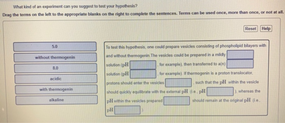 What kind of an experiment can you suggest to test your hypothesis? Drag the terms on the left to the appropriate blanks on t
