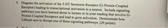 Diagram the activation of the 5-HT Serotonin Receptor (G-Protein Coupled Receptor) leading to transcriptional activation in a neuron. Include signaling pathways you have learned about in lecture or in your reading that involve G- Protein Coupled Receptors and lead to gene activation. Demonstrate how Lithium acts to disrupt one of these signaling pathways. (20 points) 5.