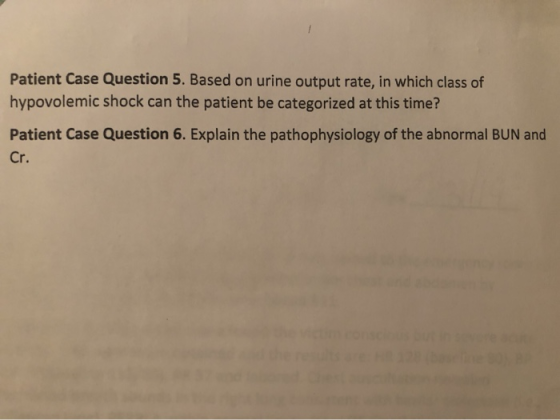 Patient Case Question 5. Based on urine output rate, in which class of hypovolemic shock can the patient be categorized at th