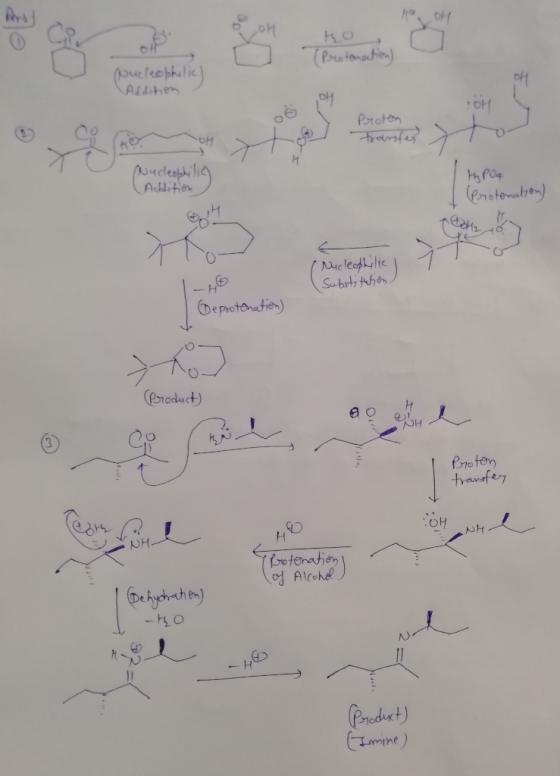 tho (Protonation) Nucleophilic Addition Proton transfer Nucleophilic (Addition ty Poq (Protonation) r Nucleophilic Substituti