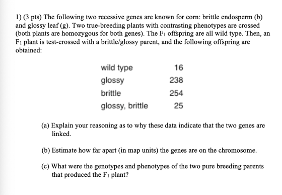 1) (3 pts) The following two recessive genes are known for corn: brittle endosperm (b) and glossy leaf (g). Two true-breeding