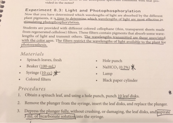vided in the notes? Experiment 8.3: Light and Photophosphorylation Now that you have determined which wavelengths of light ar