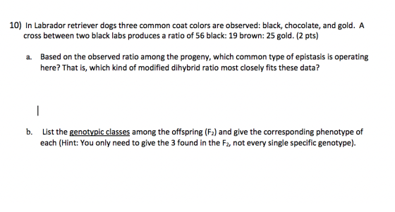 10) In Labrador retriever dogs three common coat colors are observed: black, chocolate, and gold. A cross between two black l
