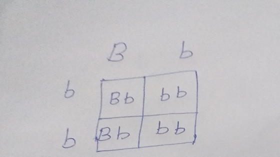 В Б ь вььь БBь ьь) ВЬ БЬ