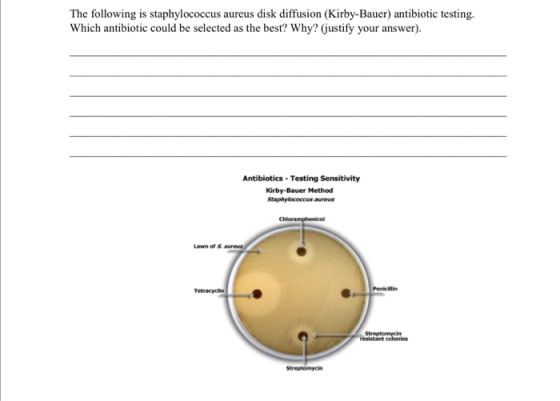 The following is staphylococcus aureus disk diffusion (Kirby-Bauer) antibiotic testing Which antibiotic could be selected as