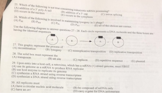 25. Which of the following is not true concerning eukaryotic mRNA processing (A) addition of a 3 poly-A tail (D) occurs in the nucleus (C) intron splicing (B) addition of a S cap (E) occurs in the cytoplasm 26. Which of the following is involved in maintaining lysogeny in (A) PRE (B) PRM (C) PRI (D) PRO (E) all of the choices are correct Use the following diagram to answer questions 27-28. Each circle represents a DNA molecule and the three boxes are having the identical sequences 27. This graphic represent the process of (A) recombination (B) lysogeny (C) nonreplicative transposition (D) replicative transposition 28. The solid box must represent the (A) transposon C) replicon (D) repetitive sequence plasmid (B) att site 29. Upon entry into a host cell, a retrovirus, which has a ssRNA (+) strand genome, must FIRST (A) use its genome as a mRNA to produce RNA replicase (B) use host enzyme to replicate its genome (C) synthesize a RNA strand using reverse transcriptase (D) synthesize a DNA strand using reverse transcriptase 30. All replicons must (A) have a circular nucleic acid molecule (C) have an ori (B) be composed of SSDNA only (D) carry a gene for DNA polymerase
