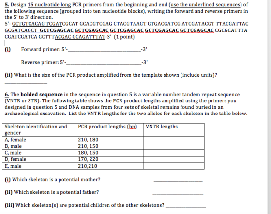 5. Design 15 nucleotide long PCR primers from the beginning and end Cuse the underlined sequences of the following sequence (grouped into ten nucleotide blocks), writing the forward and reverse primers in the 5 to 3 direction. 5- GCTGT CACAG TCGATCGCAT GCACGTCGAG CTACGTAAGT GTGACGATCG ATCGATACGT TTACGATTAC GCGATCAGCT GCTCGAGCAC GCTCGAGCAC GCTCGAGCAC GCTCGAGCACGCTCGAGCAC CGCGCATTTA CGATCGATCA GCTTTAC GAC GCAGATTTAT-3 (1 point) (i) Forward primer: 5 Reverse primer: 5 (ii) What is the size of the PCR product amplified from the template shown (include units)? 6. The bolded sequence in the sequence in question 5 is a variable number tandem repeat sequence (VNTR or STR). The following table shows the PCR product lengths amplified using the primers you designed in question 5 and DNA samples from four sets of skeletal remains found buried in an archaeological excavation. List the VNTR lengths for the two alleles for each skeleton in the table below Skeleton identification and PCR product lengths (bp) VNTR lengths gender A, female 210, 180 B, male 210, 150 180, 150 C, male 170, 220 D, female E, male 210,210 (i) Which skeleton is a potential mother? (ii) Which skeleton is a potential father? (iii) Which skeleton(s) are potential children of the other skeletons?