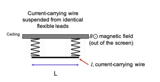 Current-carrying wire suspended from identical flexible leads Ceiling BO magnetic field (out of the screen) I, current-carryi