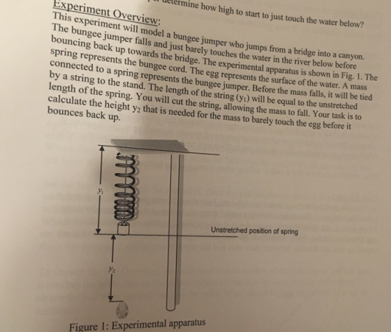 I uetermi ine how high to start to just touch the water below? Experiment Overview This experiment will model a bungee jumper who jumps from a The bridge into a canyon. bungee jumpe bouncing back up towards the bridge. The ex spring represents the connected r fa Ils and just barely touches the water in the river below before perimental apparatus is shown in Fig. 1. The e bungee cord. The egg represents the surface of the water. A mass to a spring represents the bungee jumper. Before the mass falls, it will be tied y a string to the stand. The length of the string (yi) will be equal to the unstretched length of the spring. You will cut the string, allowing the mass to fall. Your task is to calculate the height y2 that is needed for the mass to barely touch the egg before it bounces back up. i Unstretched position of spring y2 Figure 1: Experimental apparatus