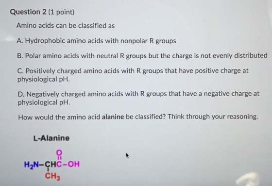 Question 2 (1 point) Amino acids can be classified as A. Hydrophobic amino acids with nonpolar R groups B. Polar amino acids