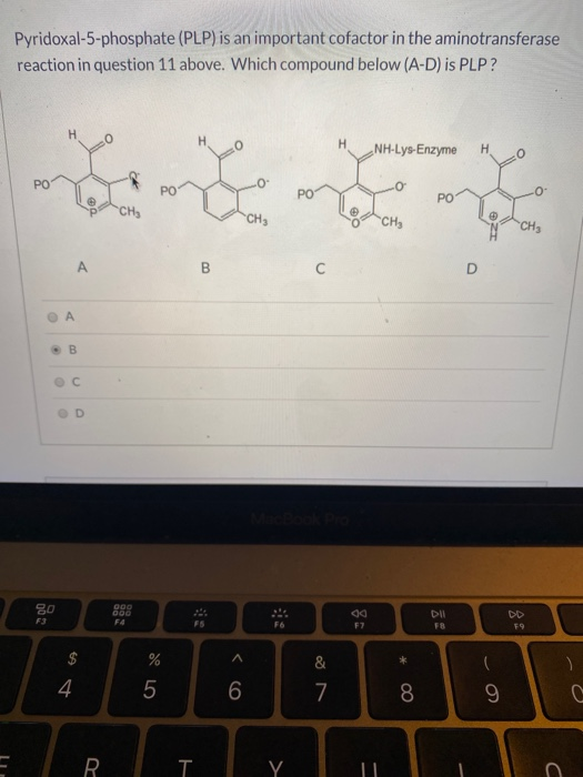 Pyridoxal-5-phosphate (PLP) is an important cofactor in the aminotransferase reaction in question 11 above. Which compound be