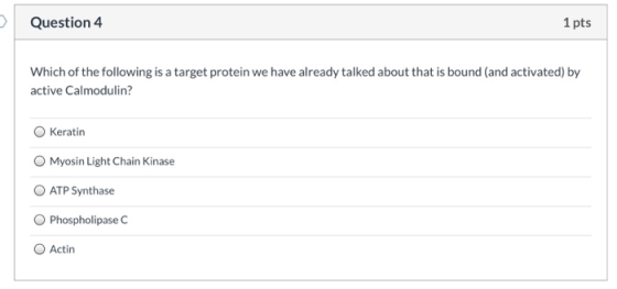 Question 4 1 pts Which of the following is a target protein we have already talked about that is bound (and activated) by act