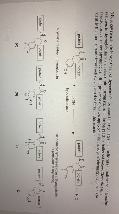 18. A key reaction in biosynthesis of thyroxine ſa hormone that regulates metabolic rate) is iodination of tyrosine residues