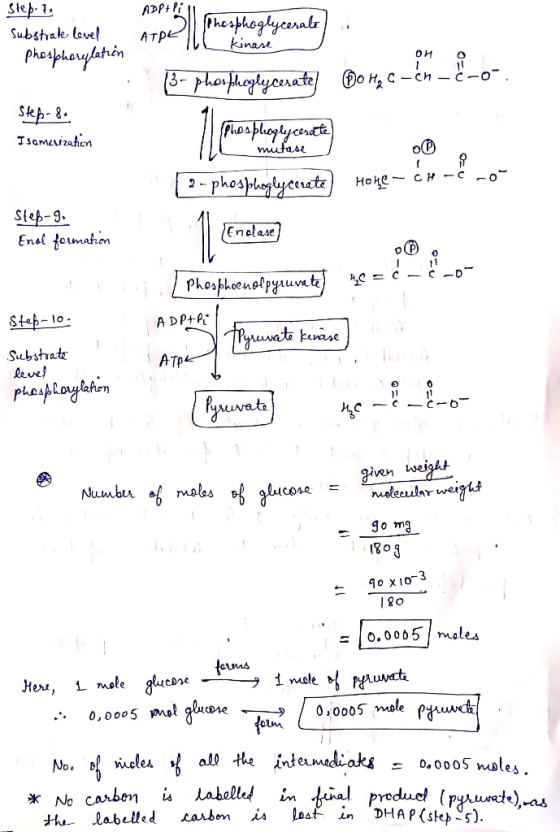 Stebe?, 6pP+ ། Phosphoglycesale substrate level ATRE TL kinase phosphorylation . 13- phosphoglycerate Step-8 plos bloglycerat