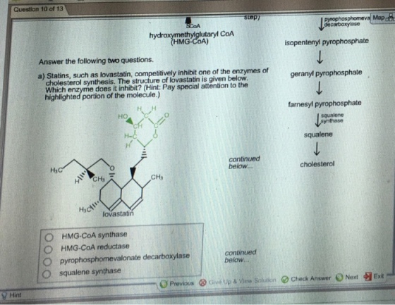 Answer the following two questions. Statins, such