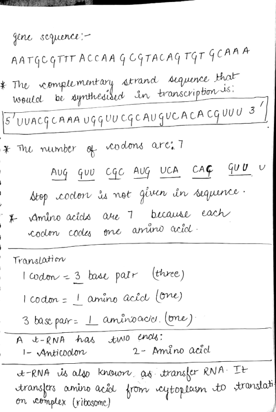gene sequence : - AATGc TTT ACCAA G cTACAQ тет 4CAAA * The complementary strand sequence that would be synthesiled in transcr