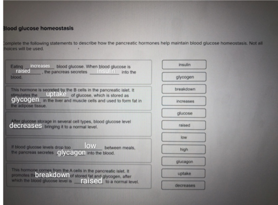 Blood glucose homeostasis Complete the following statements to describe how the pancreatic hormones help maintain blood gluco