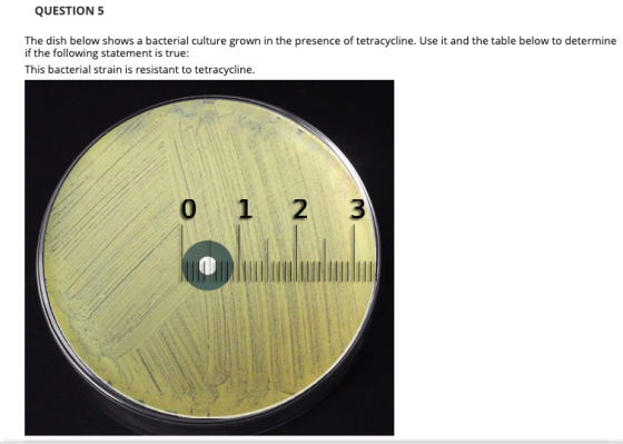 QUESTION 5 The dish below shows a bacterial culture grown in the presence of tetracycline. Use it and the table below to dete