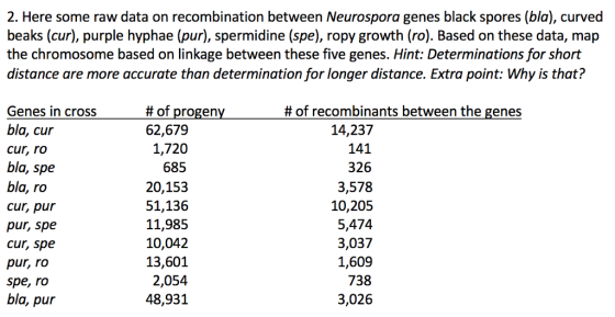 2. Here some raw data on recombination between Neurospora genes black spores (bla), curved beaks (cur), purple hyphae (pur), spermidine (spe), ropy growth (ro). Based on these data, map the chromosome based on linkage between these five genes. Hint: Determinationsfor short distance are more accurate than determination for longer distance. Extra point: Why is that? # of progen # of recombinants between the genes Genes in crOSS bla, cur cur, ro bla, spe bla, ro cur, pur pur, spe cur, spe pur, ro spe, ro bla, pur 62,679 1,720 685 20,153 51,136 11,985 10,042 13,601 2,054 48,931 14,237 141 326 3,578 10,205 5,474 3,037 1,609 738 3,026