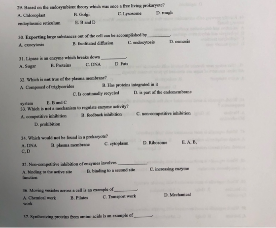 29. Based on the endosymbiont theory which was once a free living prokaryote? A. Chloroplast B. Golgi C. Lysosome D. rough en
