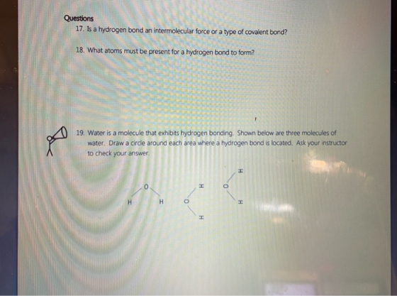 Questions 17. Is a hydrogen bond an intermolecular force or a type of covalent bond? 18. What atoms must be present for a hyd