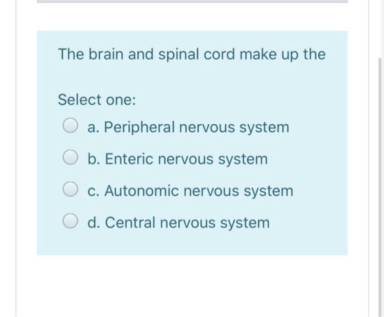 The brain and spinal cord make up the Select one: O a. Peripheral nervous system O b. Enteric nervous system O c. Autonomic n