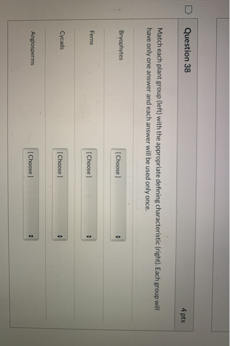 Question 38 4 pts Match each plant group (left) with the appropriate defining characteristic (right). Each group will have on