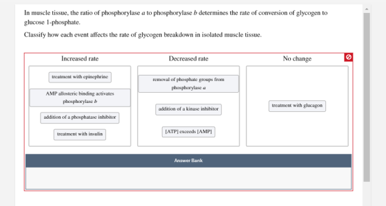 In muscle tissue, the ratio of phosphorylase a to phosphorylase b determines the rate of conversion of glycogen to glucose 1-