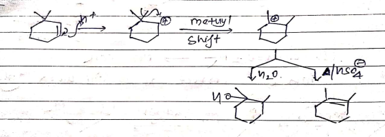 metyt Shift | 11.0, 14