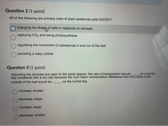 Question 2 (1 point) All of the following are primary roles of plant epidermal cells EXCEPT: changing the shaps of cells in r